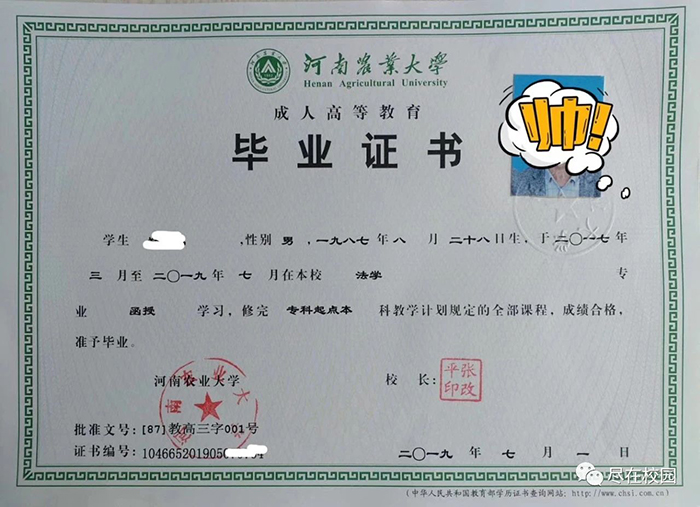 函授畢業(yè)證模板