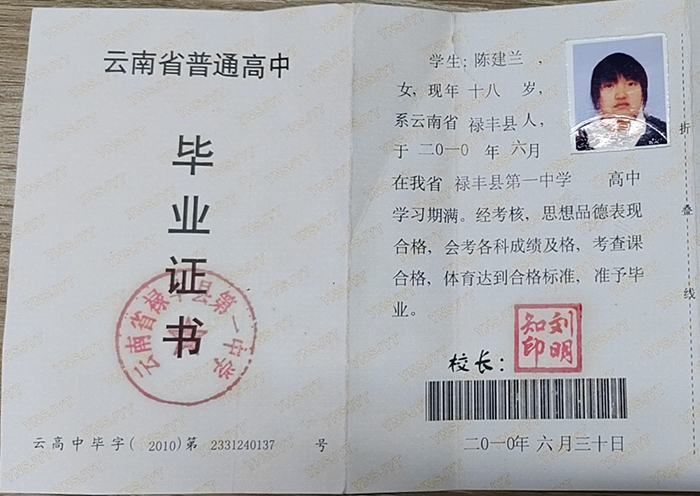 云南省2010年高中畢業(yè)證樣本