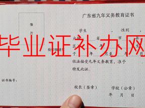 2000年初中畢業(yè)證樣本及圖片