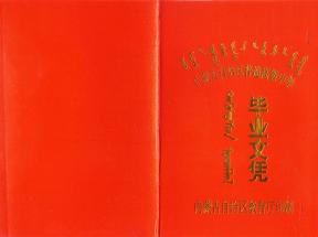 集寧2001年高中畢業(yè)證樣本：樣式、編碼、補辦