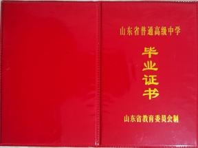 泰安市2000年高中畢業(yè)證樣本及圖片參數(shù)